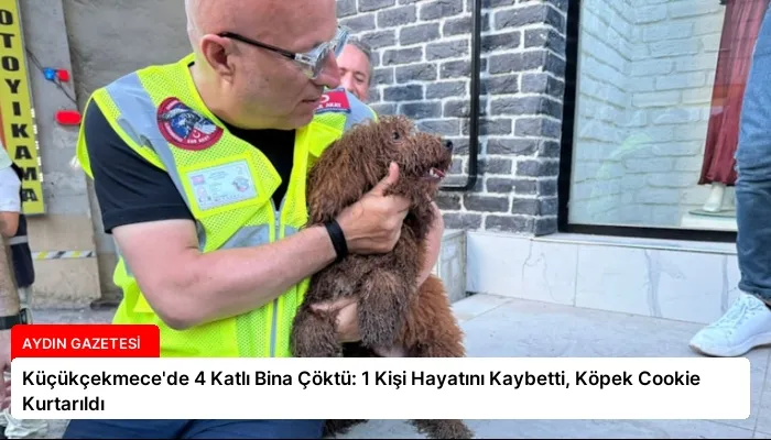Küçükçekmece’de 4 Katlı Bina Çöktü: 1 Kişi Hayatını Kaybetti, Köpek Cookie Kurtarıldı