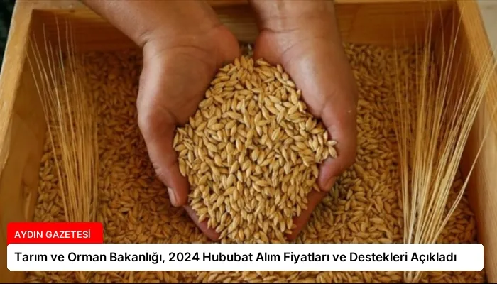 Tarım ve Orman Bakanlığı, 2024 Hububat Alım Fiyatları ve Destekleri Açıkladı