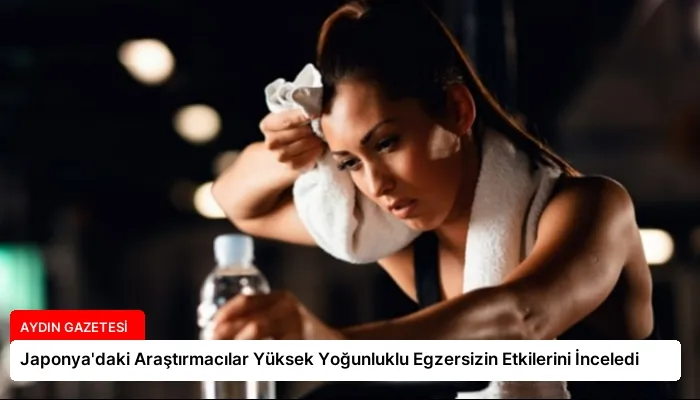 Japonya’daki Araştırmacılar Yüksek Yoğunluklu Egzersizin Etkilerini İnceledi