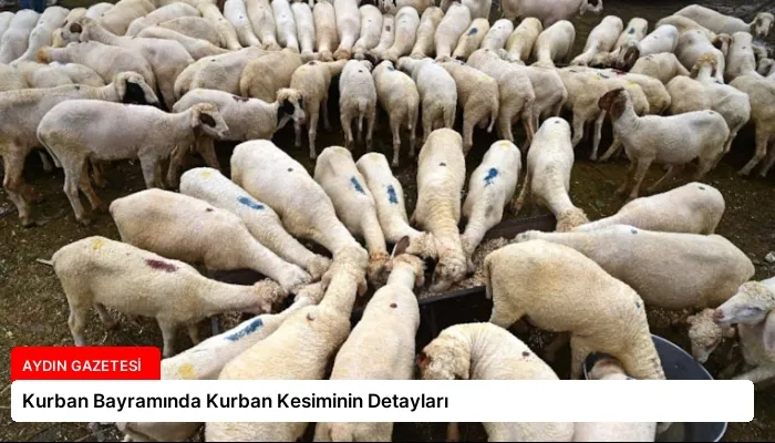 Kurban Bayramında Kurban Kesiminin Detayları