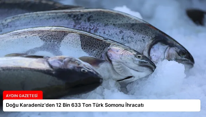 Doğu Karadeniz’den 12 Bin 633 Ton Türk Somonu İhracatı