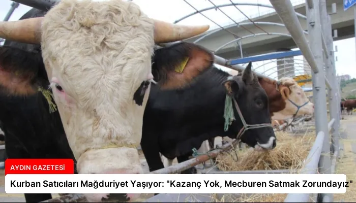 Kurban Satıcıları Mağduriyet Yaşıyor: “Kazanç Yok, Mecburen Satmak Zorundayız”