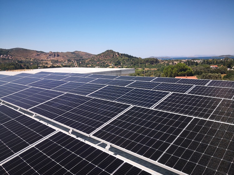 Dünyada sürdürülebilir enerjiye geçiş süreci yaşanıyor