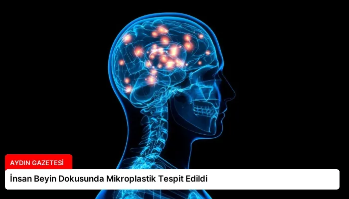 İnsan Beyin Dokusunda Mikroplastik Tespit Edildi