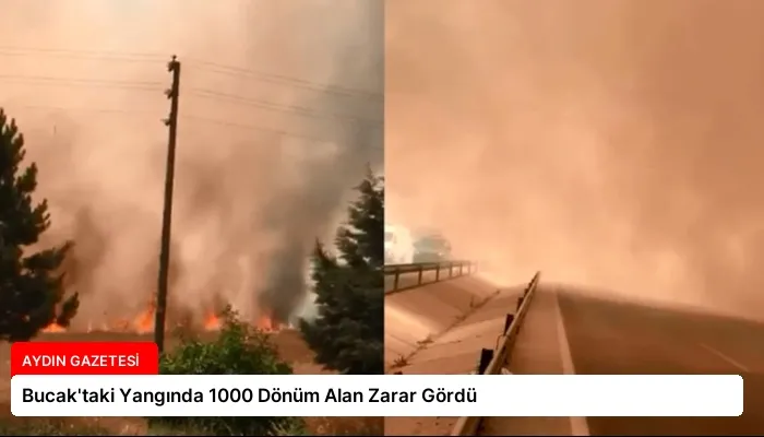 Bucak’taki Yangında 1000 Dönüm Alan Zarar Gördü