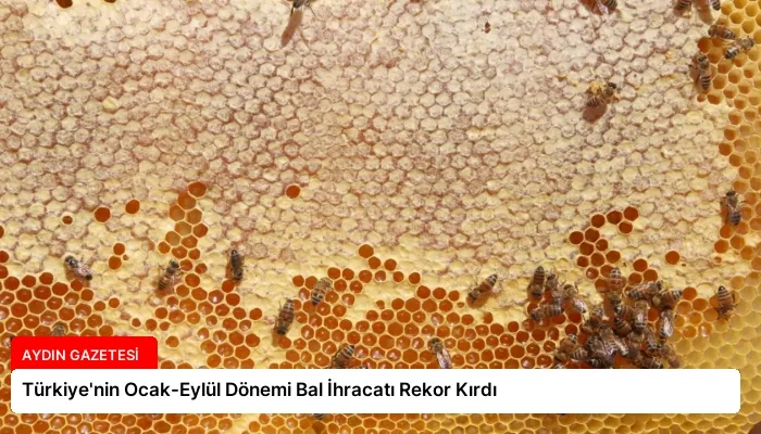 Türkiye’nin Ocak-Eylül Dönemi Bal İhracatı Rekor Kırdı
