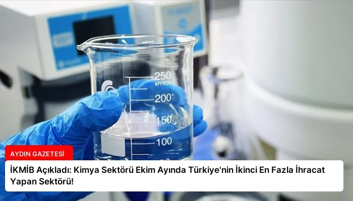 İKMİB Açıkladı: Kimya Sektörü Ekim Ayında Türkiye’nin İkinci En Fazla İhracat Yapan Sektörü!