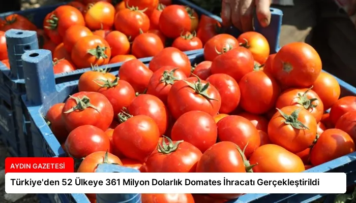 Türkiye’den 52 Ülkeye 361 Milyon Dolarlık Domates İhracatı Gerçekleştirildi