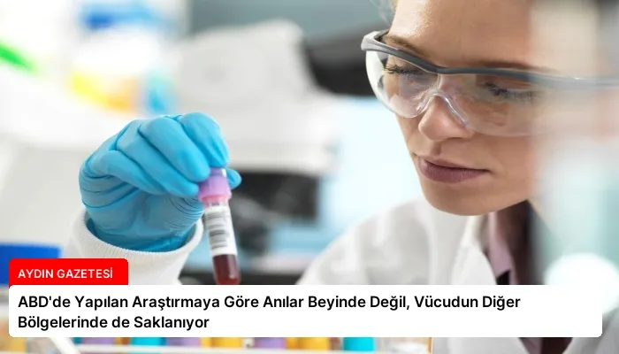 ABD’de Yapılan Araştırmaya Göre Anılar Beyinde Değil, Vücudun Diğer Bölgelerinde de Saklanıyor