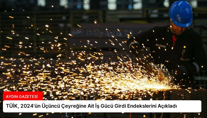 TÜİK, 2024’ün Üçüncü Çeyreğine Ait İş Gücü Girdi Endekslerini Açıkladı