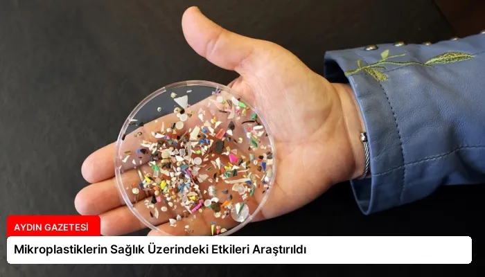 Mikroplastiklerin Sağlık Üzerindeki Etkileri Araştırıldı