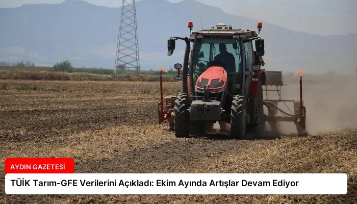 TÜİK Tarım-GFE Verilerini Açıkladı: Ekim Ayında Artışlar Devam Ediyor