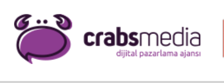 Profesyonel Web Tasarımı Nedir ve Neden Gerekli?