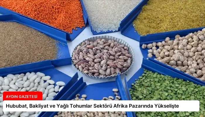 Hububat, Bakliyat ve Yağlı Tohumlar Sektörü Afrika Pazarında Yükselişte