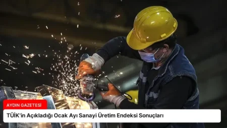 TÜİK’in Açıkladığı Ocak Ayı Sanayi Üretim Endeksi Sonuçları