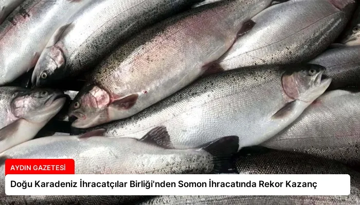 Doğu Karadeniz İhracatçılar Birliği’nden Somon İhracatında Rekor Kazanç