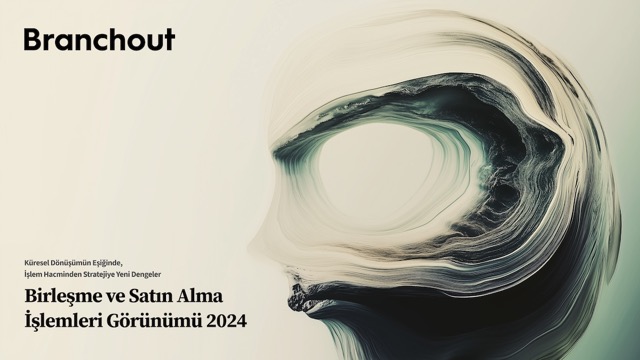 Türkiye birleşme ve satın alma pazarı, 2024’te yükseldi