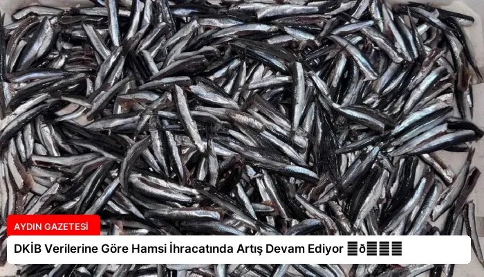 DKİB Verilerine Göre Hamsi İhracatında Artış Devam Ediyor ⏬👇