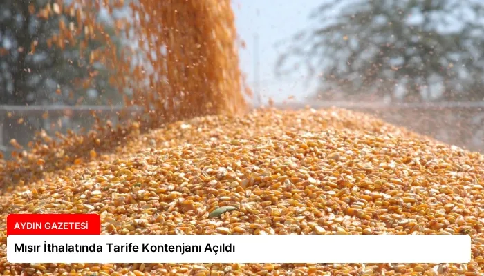 Mısır İthalatında Tarife Kontenjanı Açıldı