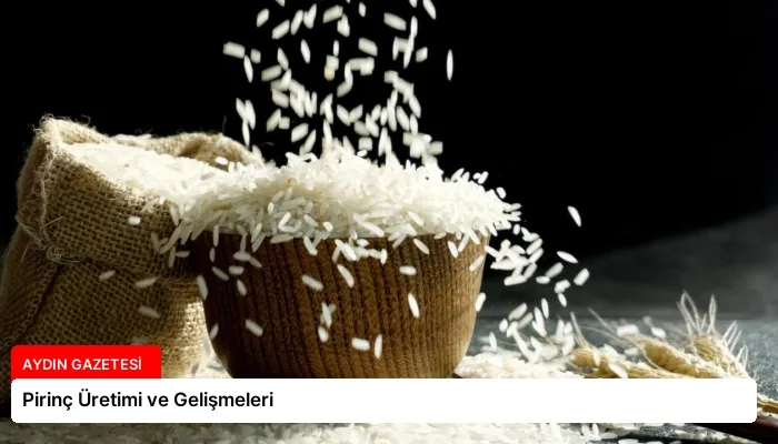 Pirinç Üretimi ve Gelişmeleri