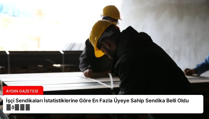 İşçi Sendikaları İstatistiklerine Göre En Fazla Üyeye Sahip Sendika Belli Oldu ⏬👇