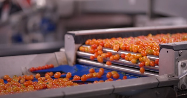 Türk endüstriyel makine üreticisinden 60. yıla özel atılım ve ihracat hamlesi