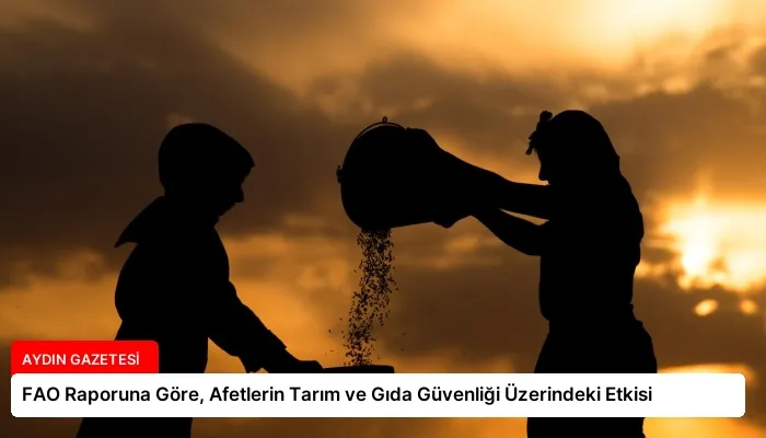 FAO Raporuna Göre, Afetlerin Tarım ve Gıda Güvenliği Üzerindeki Etkisi