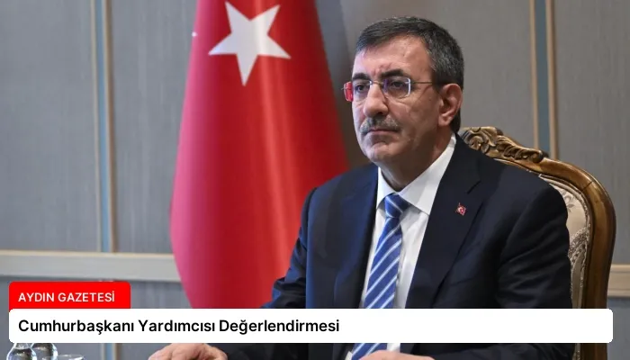 Cumhurbaşkanı Yardımcısı Değerlendirmesi