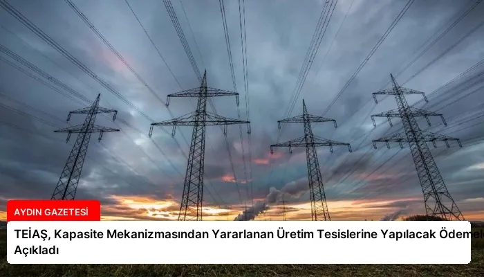 TEİAŞ, Kapasite Mekanizmasından Yararlanan Üretim Tesislerine Yapılacak Ödemeleri Açıkladı