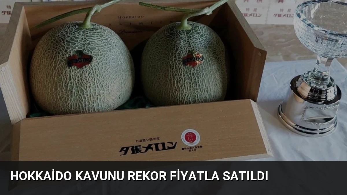 Hokkaido Kavunu Rekor Fiyatla Satıldı