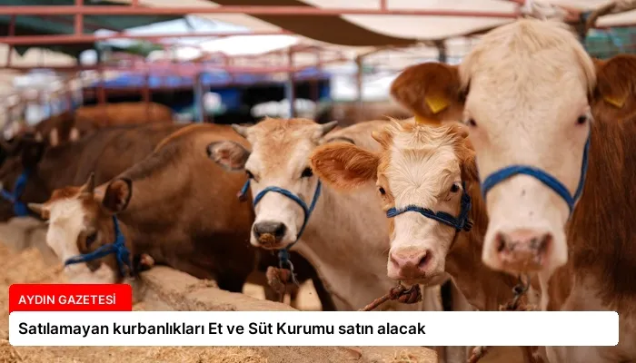 Satılamayan kurbanlıkları Et ve Süt Kurumu satın alacak