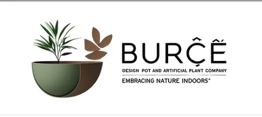 Büyük Bitkiler İçin Doğru Tercih: Burçe Design Büyük Saksıların Sunduğu Avantajlar