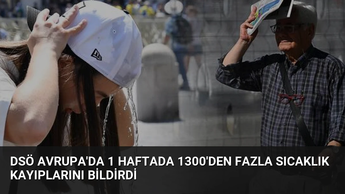 DSÖ Avrupa’da 1 Haftada 1300’den Fazla Sıcaklık Kayıplarını Bildirdi