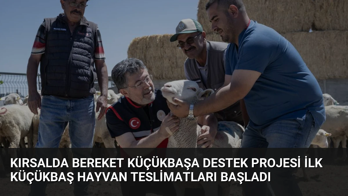 Kırsalda Bereket Küçükbaşa Destek Projesi İlk Küçükbaş Hayvan Teslimatları Başladı