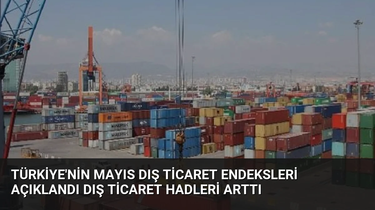 Türkiye’nin Mayıs Dış Ticaret Endeksleri Açıklandı Dış Ticaret Hadleri Arttı