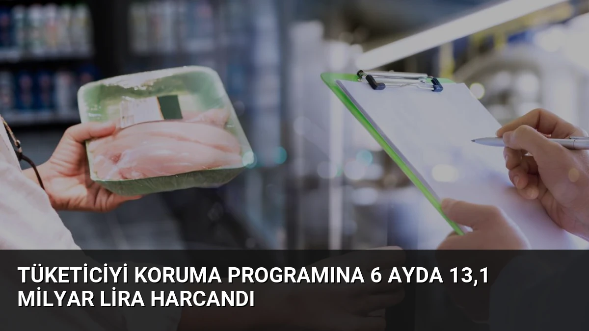 Tüketiciyi Koruma Programına 6 Ayda 13,1 Milyar Lira Harcandı