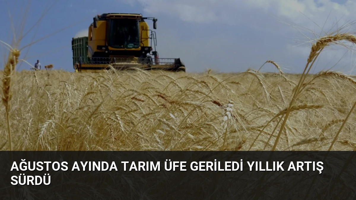 Ağustos Ayında Tarım ÜFE Geriledi Yıllık Artış Sürdü