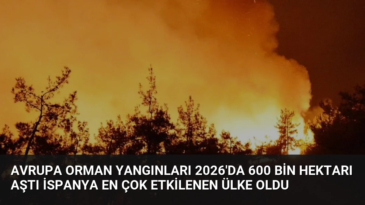 Avrupa Orman Yangınları 2026’da 600 Bin Hektarı Aştı İspanya En Çok Etkilenen Ülke Oldu