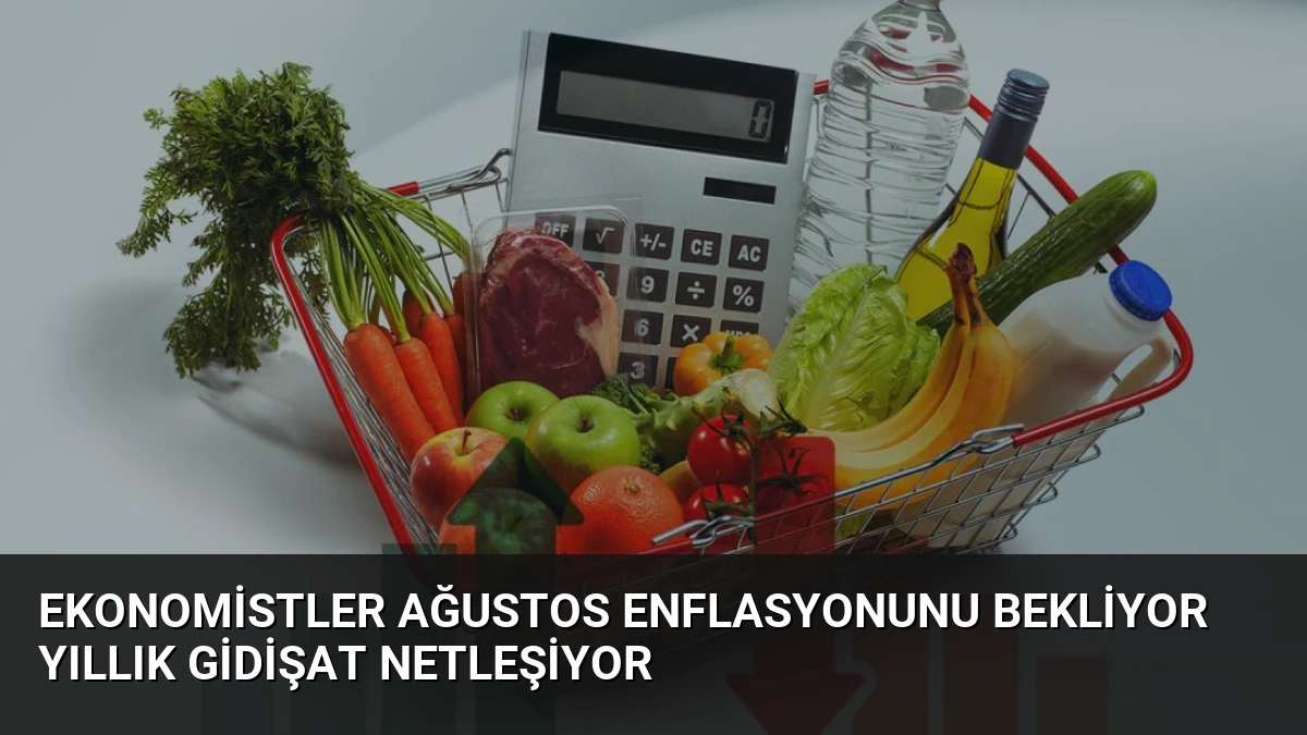 Ekonomistler Ağustos Enflasyonunu Bekliyor Yıllık Gidişat Netleşiyor