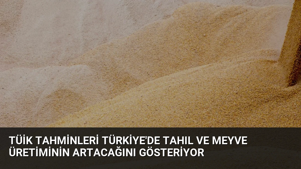 TÜİK Tahminleri Türkiye’de Tahıl ve Meyve Üretiminin Artacağını Gösteriyor